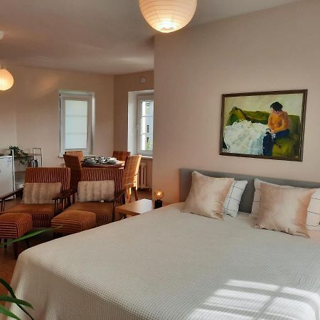 Seimos Bustas Homestay Шяуляй Экстерьер фото